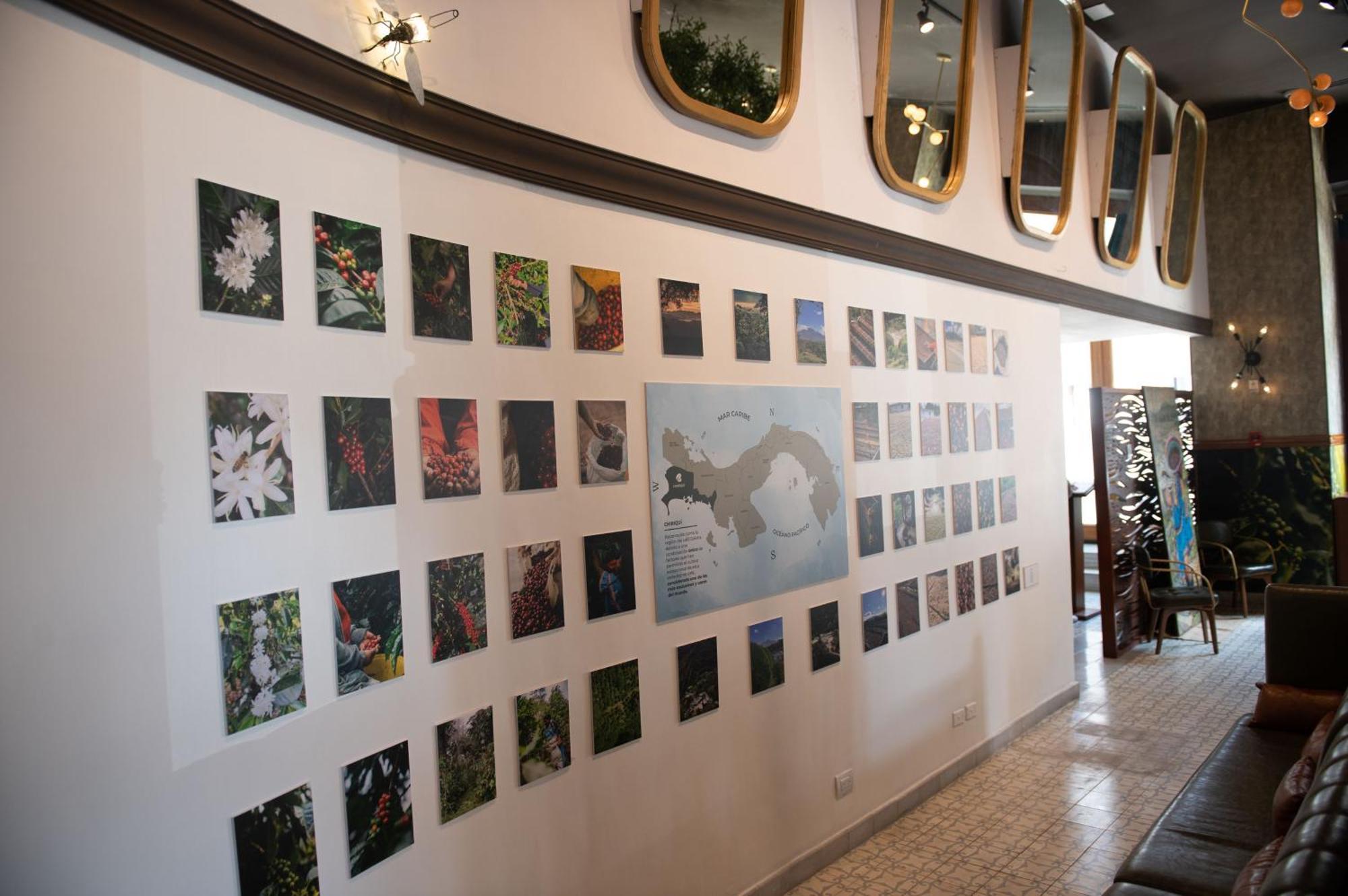 La Concordia - Boutique Hotel Panama City Eksteriør billede